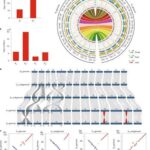 The Complete Guide to cotton genome research